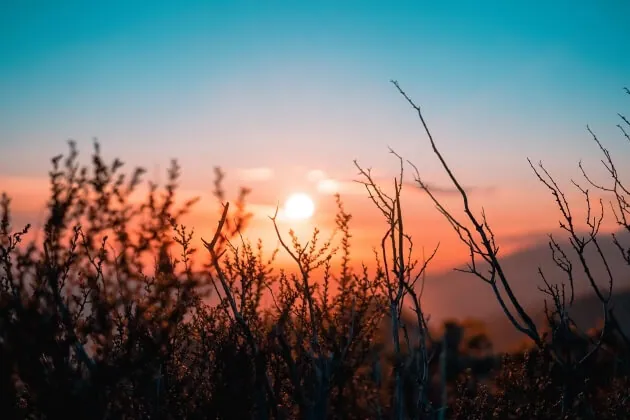 A Picture of a Sunset
